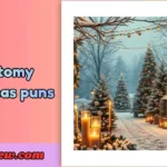 Anatomy Christmas puns