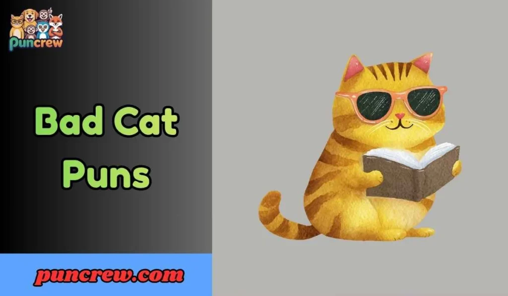 Bad Cat Puns
