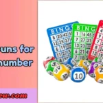 bingo puns for every number