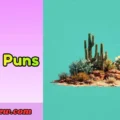 Cacti Puns