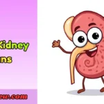 Cute Kidney Puns