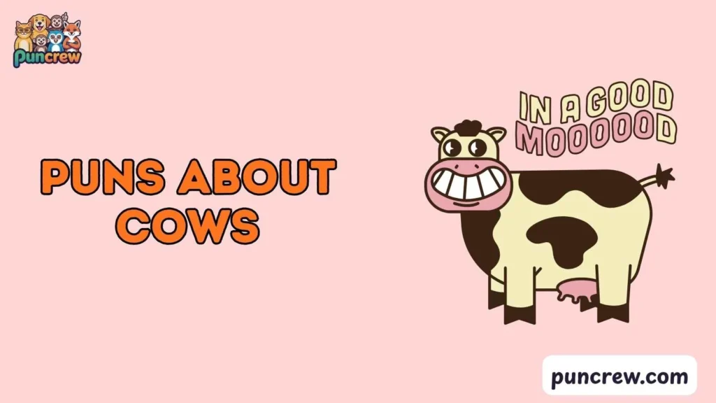 Cute Puns About Cows