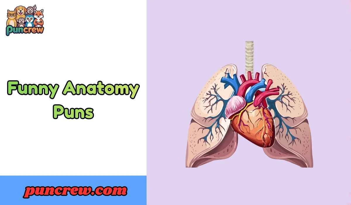 Funny Anatomy Puns