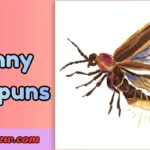 Funny bug puns