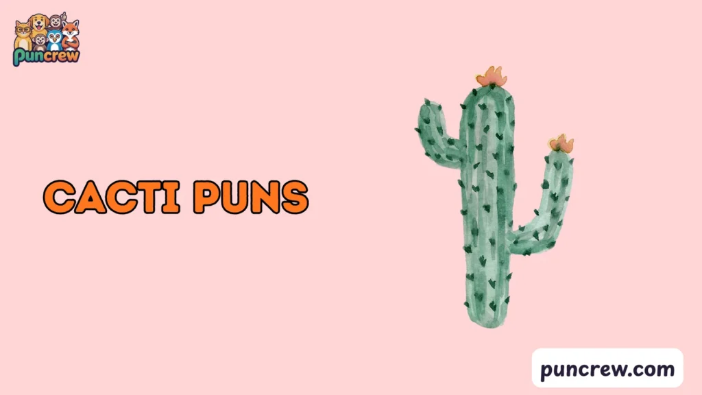 Funny cacti puns