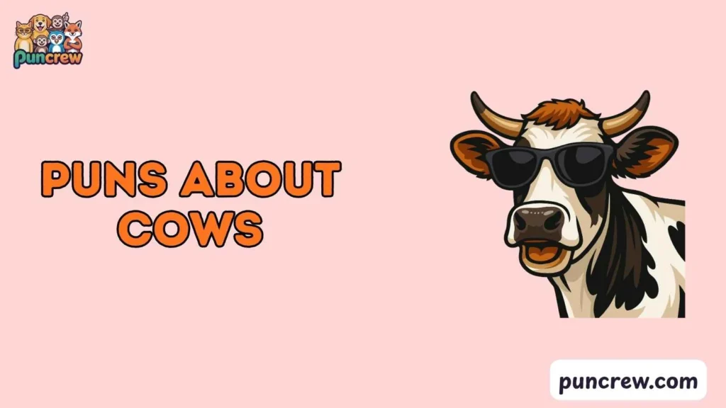 Funny Puns About Cows