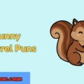 313+ Funny Squirrel Puns Nutty Jokes You’ll Love! 2026