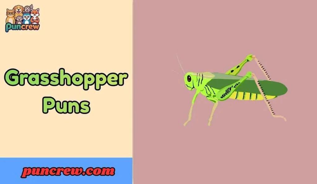 Grasshopper Puns