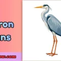 heron puns