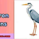 heron puns