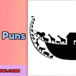 Noah Puns