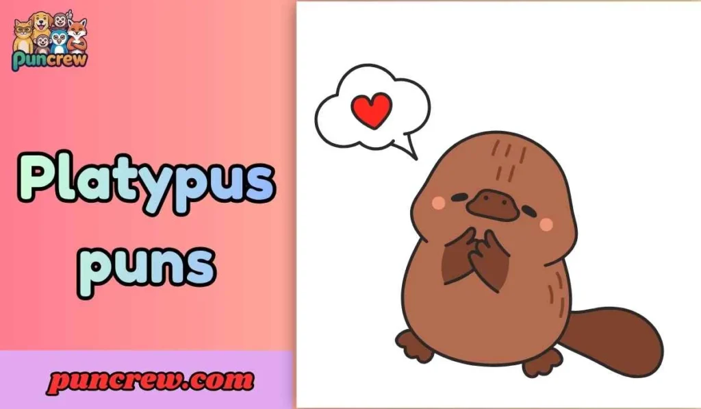 Platypus puns
