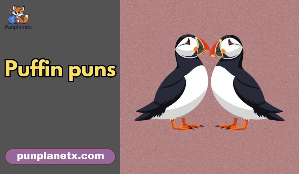 puffin puns