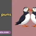puffin puns
