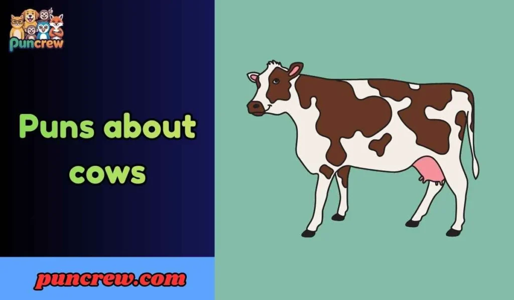 puns about cows