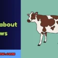 puns about cows