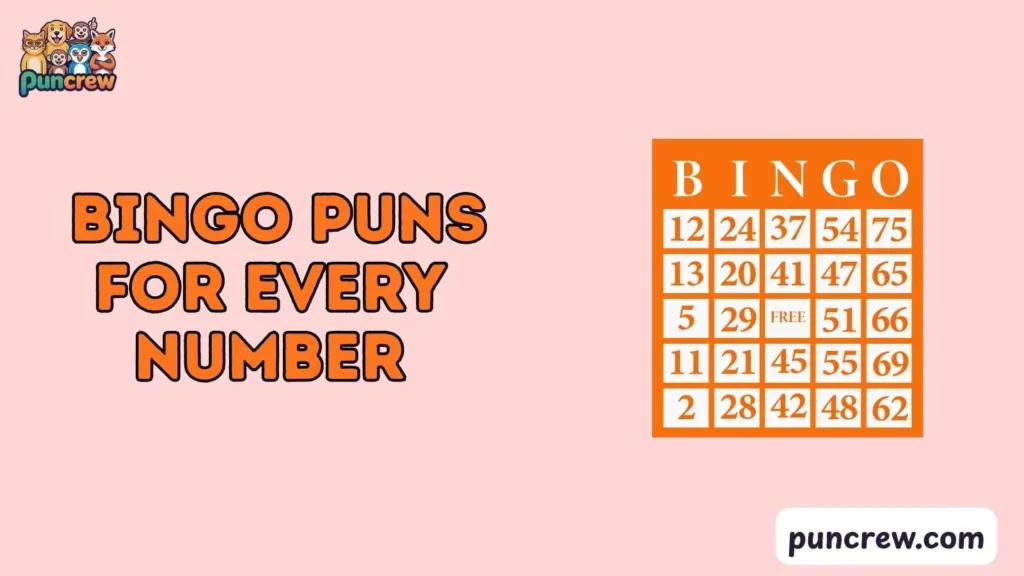 Silly Bingo Puns