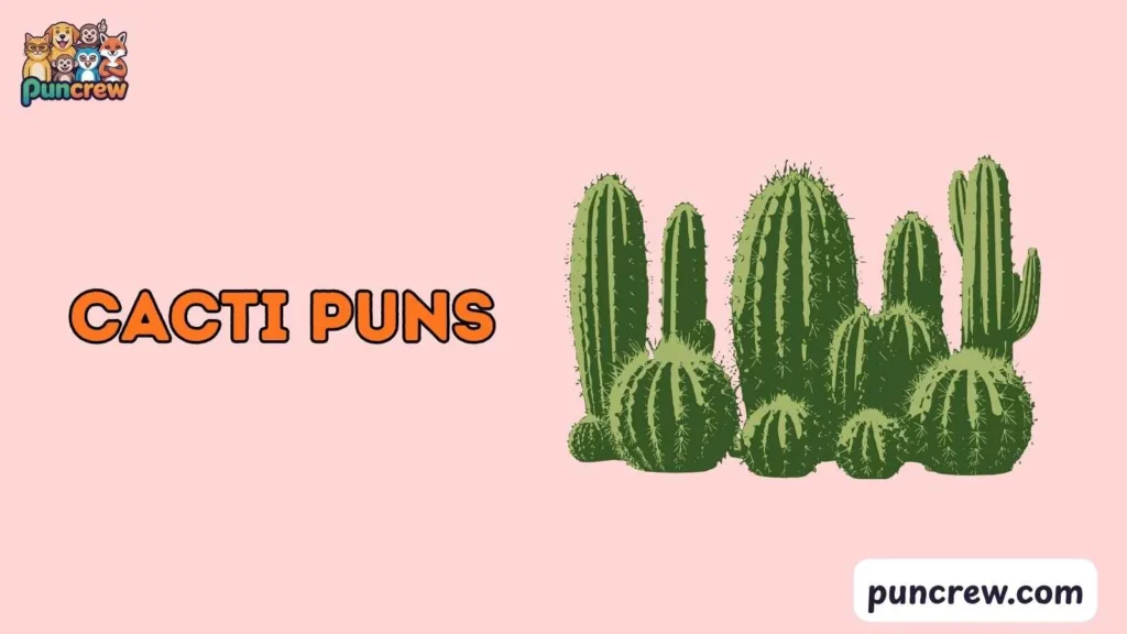 Silly cacti puns
