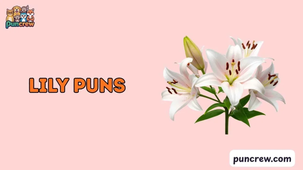 Silly Lily Puns