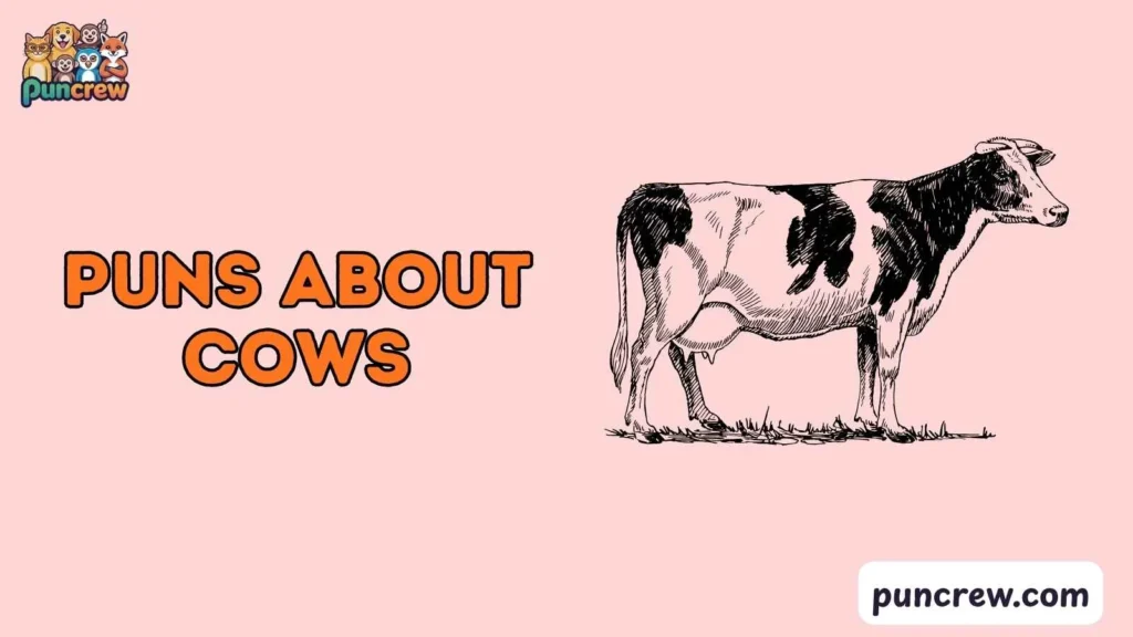 Silly Puns About Cows
