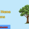 Tree Name Puns