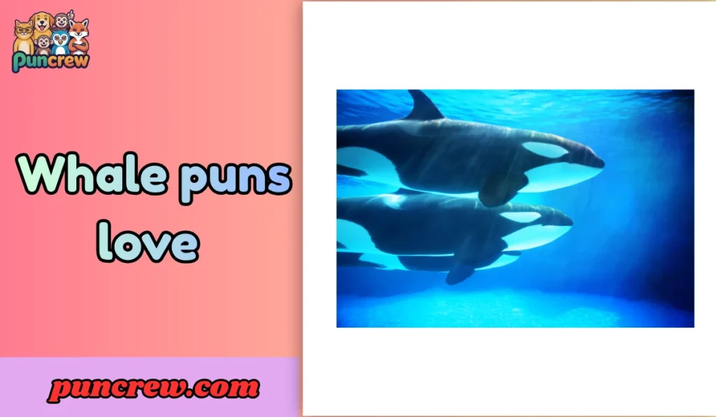 Whale puns love