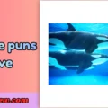 Whale puns love