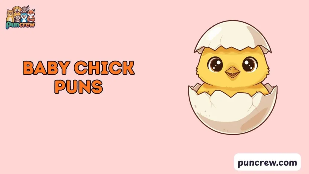 Baby Chick Puns