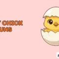 Baby Chick Puns
