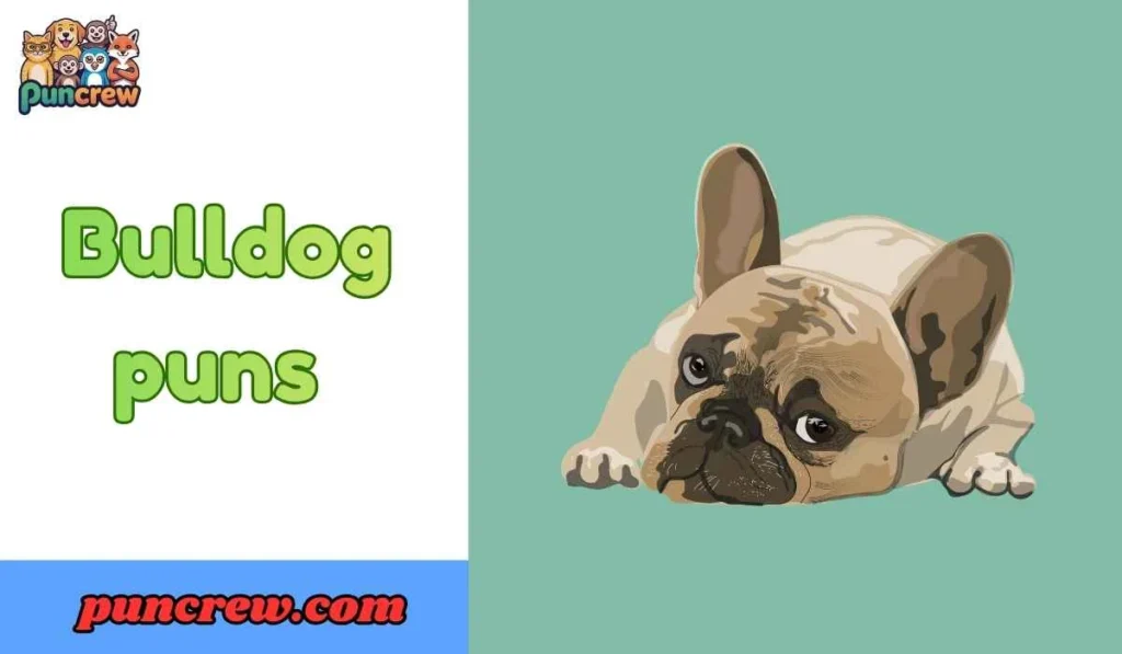 389+ Bulldog Puns Hilarious Jokes You’ll Love! 2026