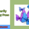 Butterfly Birthday Puns