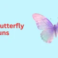 Cute Butterfly Puns