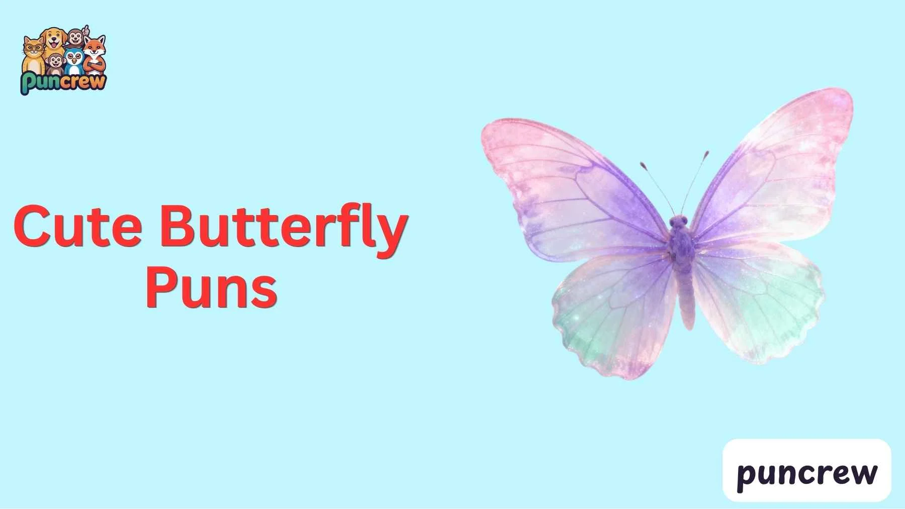 Cute Butterfly Puns