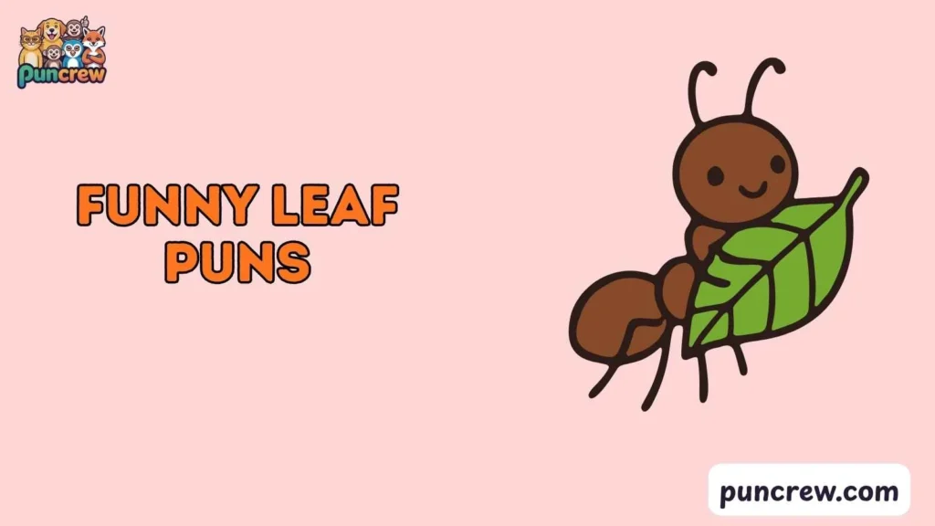 Funny Leaf Puns