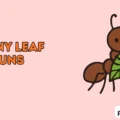 Funny Leaf Puns