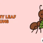 Funny Leaf Puns