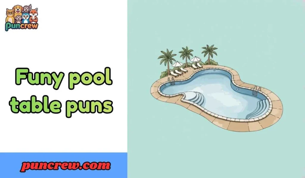 Funy Pool Table Puns