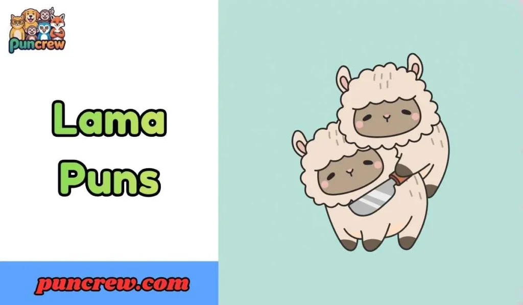 Lama Puns