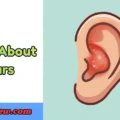 Puns About Ears