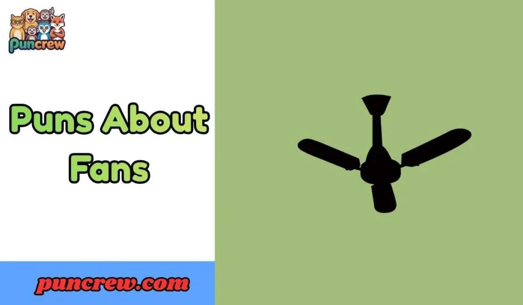 Puns About Fans