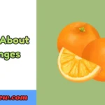 Puns About Oranges