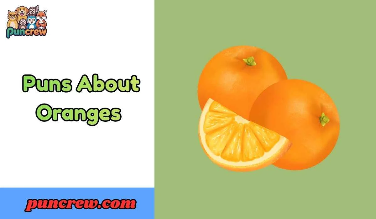 Puns About Oranges