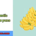Romantic Banana puns