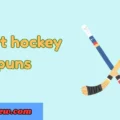 Short hockey puns