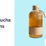 Kombucha Puns
