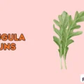 Arugula Puns