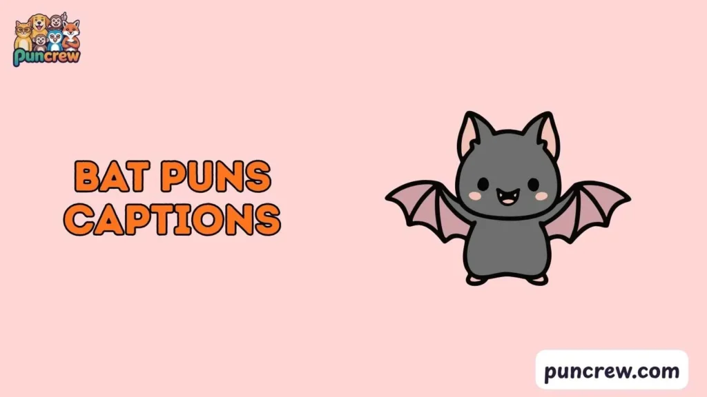 Bat Puns Captions
