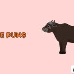 Bovine Puns