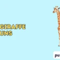 378+ Cute giraffe puns Irresistibly Funny Picks 2026