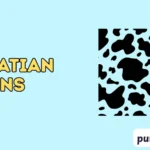 dalmatian puns